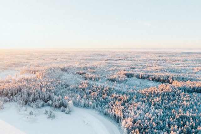 Finland-Vinter-natur