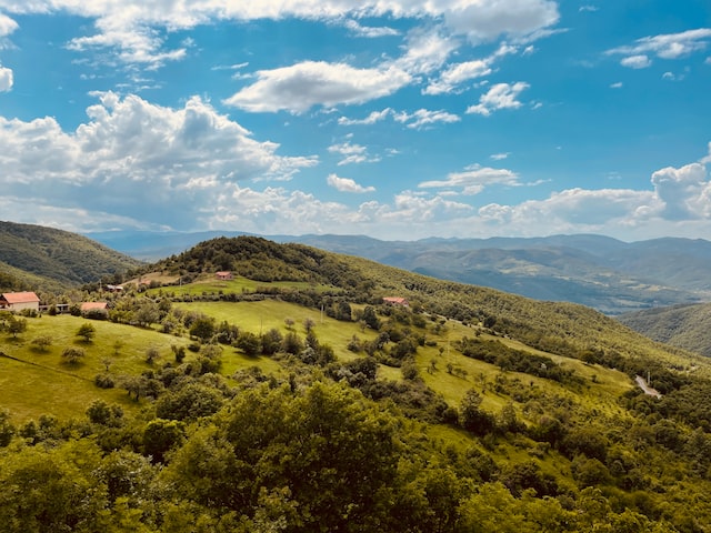 Kosovo-natur-skog