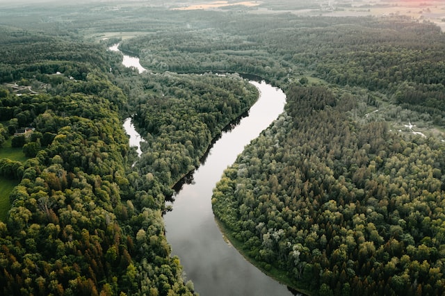 Lettland-skog-flod