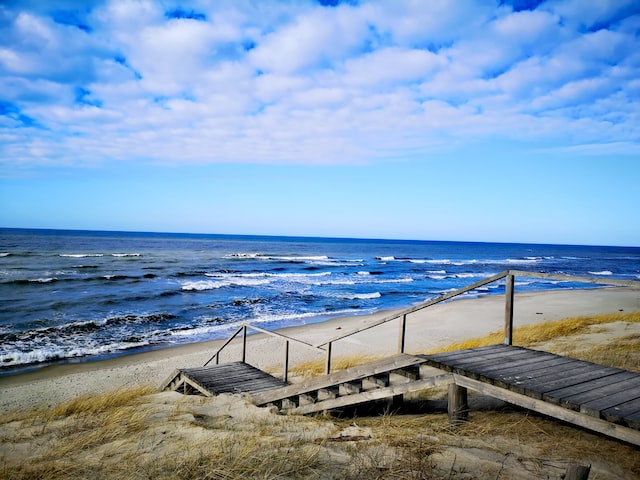 Litauen-natur-strand