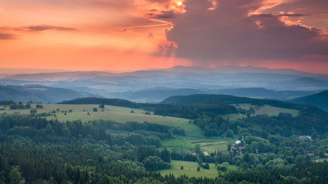 Polen-natur-skog