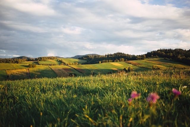 Polen-natur