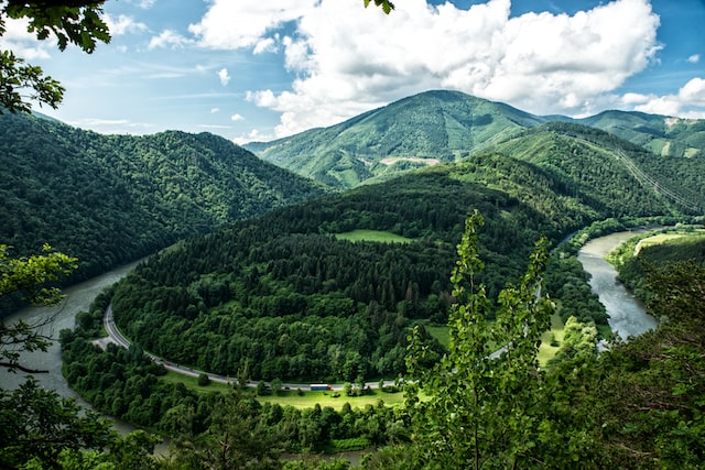 Slovakien-skog